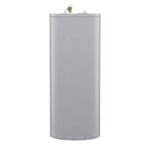 A.O. Smith Signature 100 50-Gallon Short 6-Year Warranty 4500-Watt Double Element Electric Water Heater | E6-50R45D TTP - Image 5